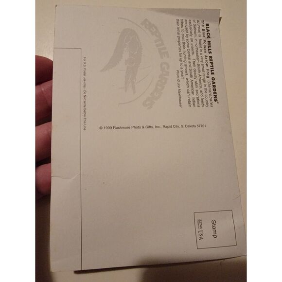 Vintage Post Card Blue Poison Arrow Dart Frog 90s Black Hills Reptile Garden‎ - Picture 2 of 2
